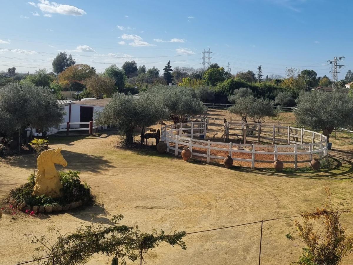 Finca Rural La Canera 16 Huespedes Σεβίλλη Εξωτερικό φωτογραφία