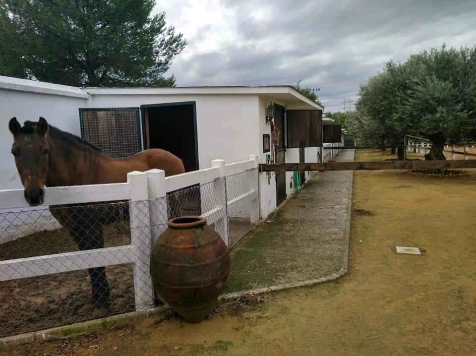 Finca Rural La Canera 16 Huespedes Σεβίλλη Εξωτερικό φωτογραφία